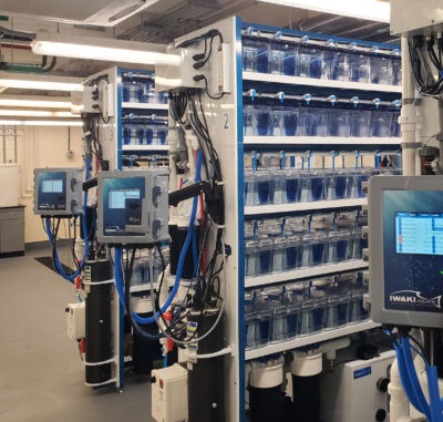 Photo inspiration: Fresh Look at Labreed Zebrafish Systems