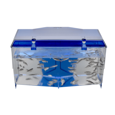 Zebrafish Racks & Housing for Advanced Research | Iwaki Aquatic