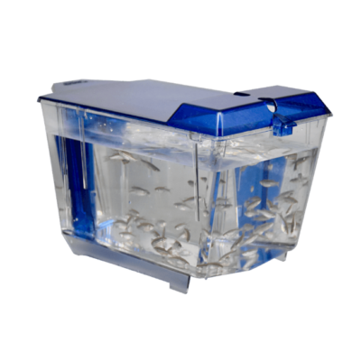 Zebrafish Racks & Housing for Advanced Research | Iwaki Aquatic