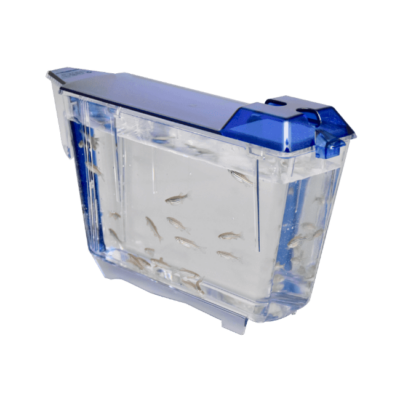 Zebrafish Racks & Housing for Advanced Research | Iwaki Aquatic