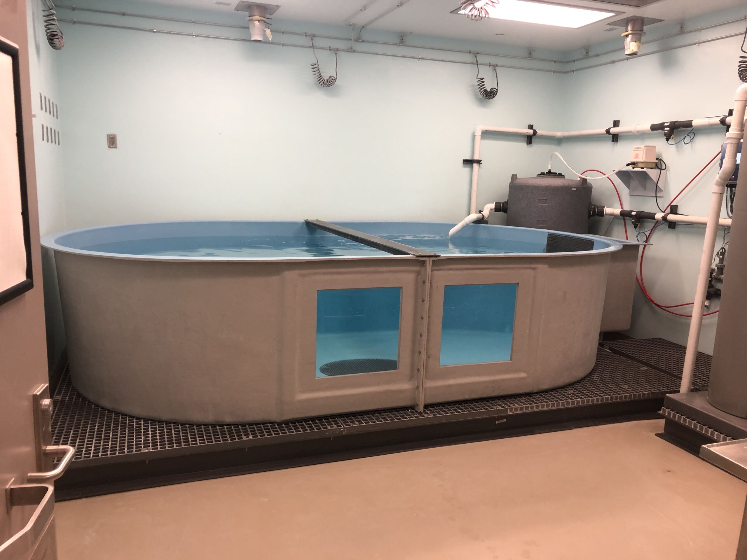 Shark Aquatic Tank + System
