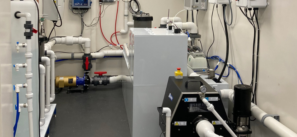 Aquatic Life Support System for Your Needs Aquatic Life Support System for Your Needs