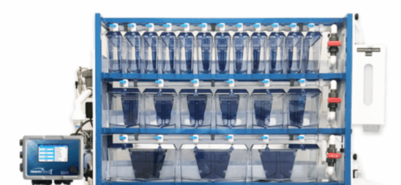 Best practices for Zebrafish breeding tanks | comprehensive maintenance ...