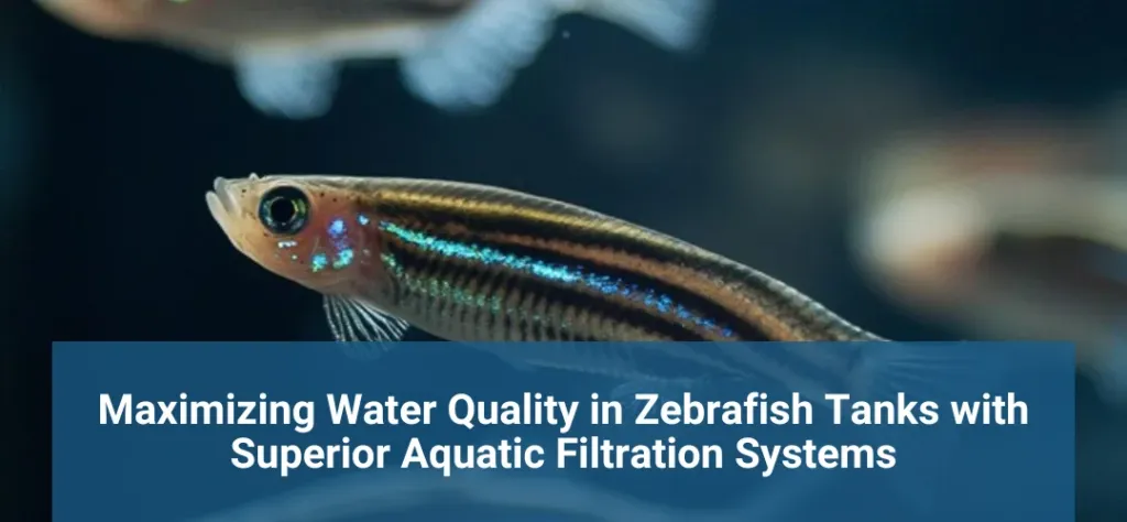 water quality zebrafish